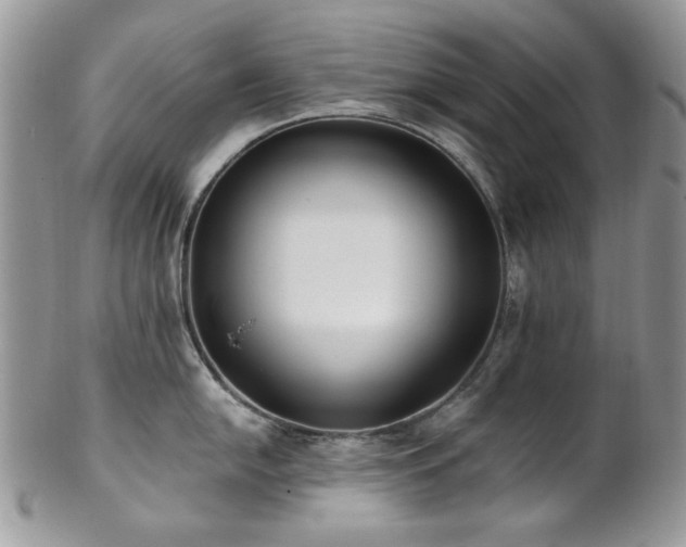 X0000102811054200808181219