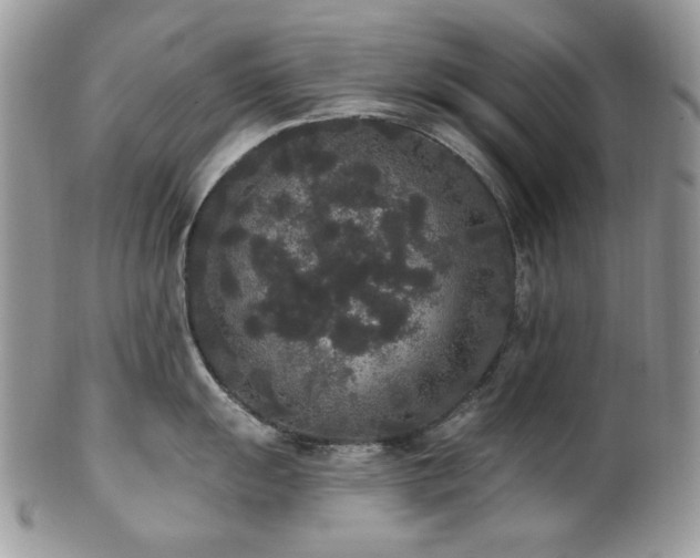 X0000102811055200808181219