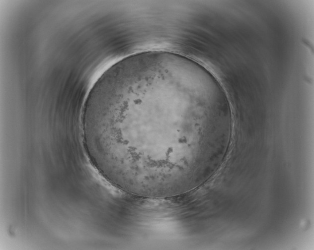 X0000102811056200808181219