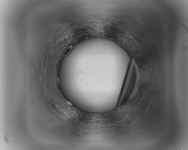 X0000102811057200808181218