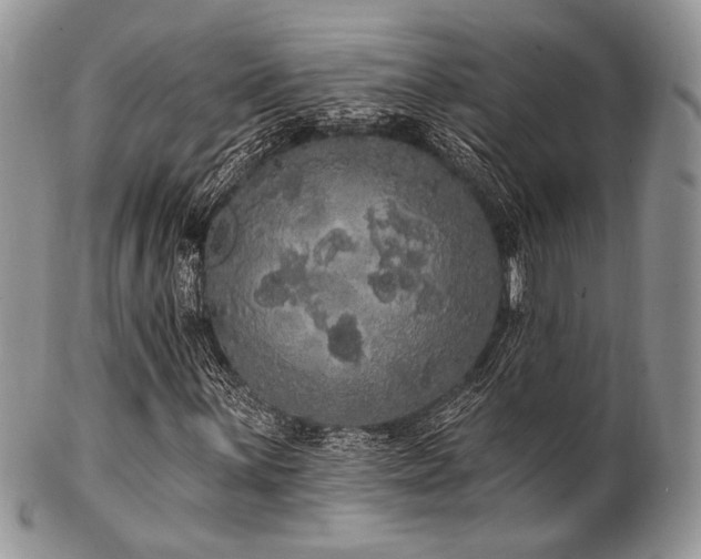 X0000102811059200808181218