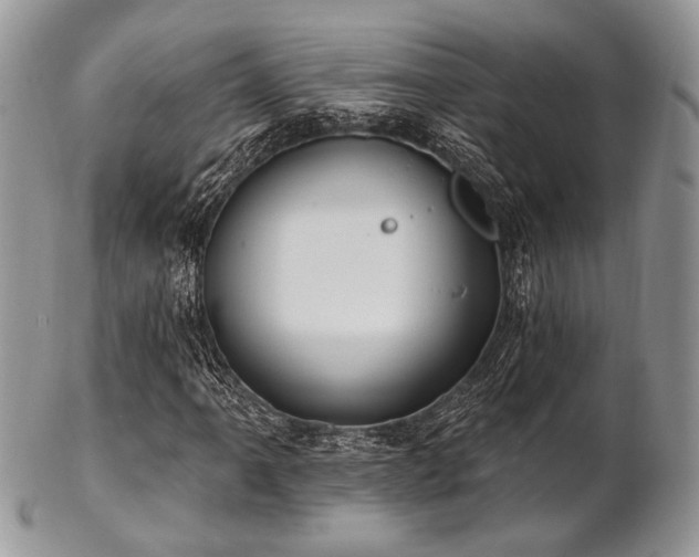 X0000102811061200808181218