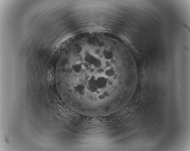 X0000102811063200808181218