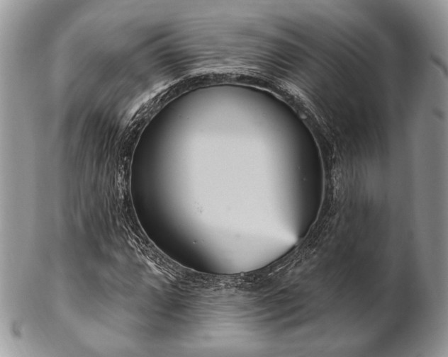 X0000102811064200808181218