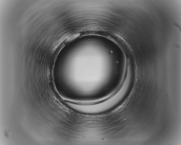 X0000102811065200808181218