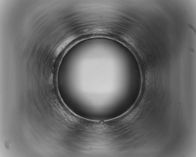 X0000102811066200808181218