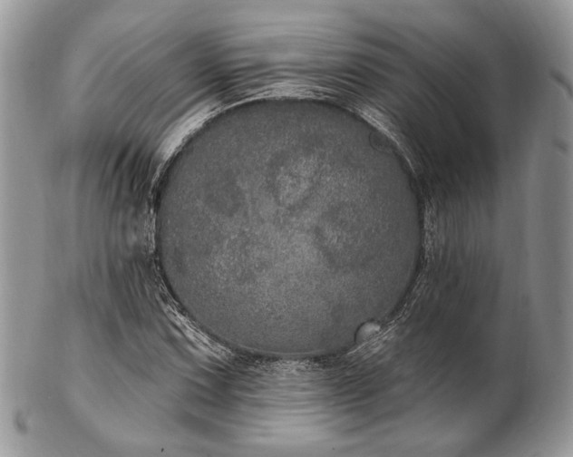 X0000102811067200808181218