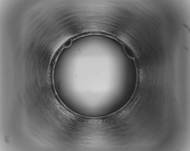 X0000102811068200808181218