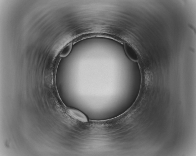 X0000102811069200808181218