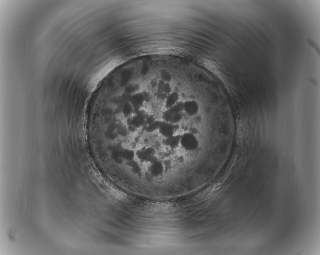 X0000102811071200808181218