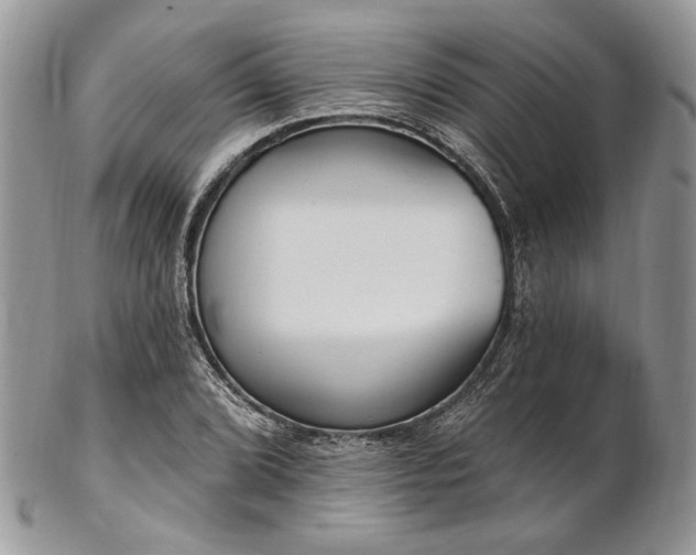 X0000102811072200808181218