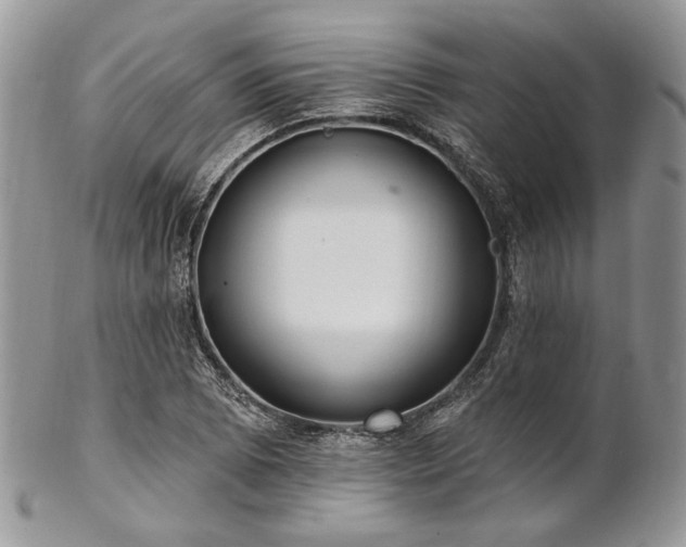 X0000102811073200808181218