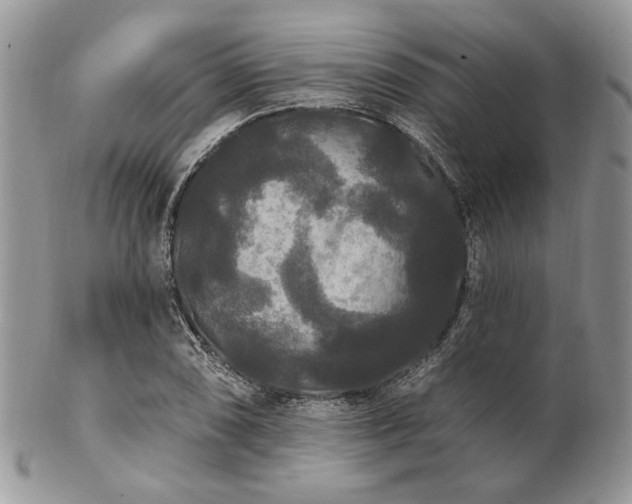 X0000102811074200808181218