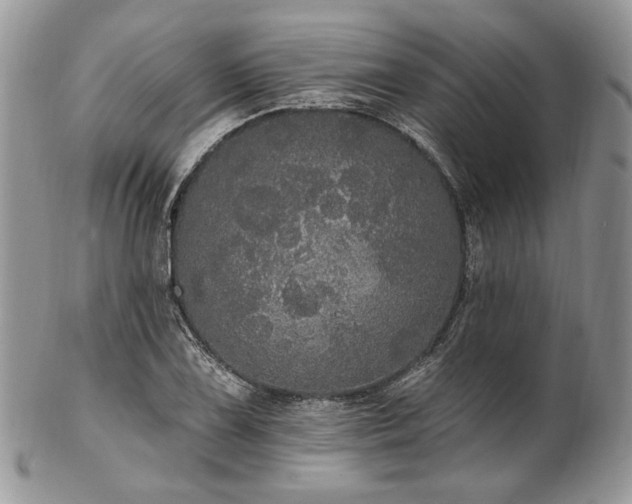 X0000102811075200808181218