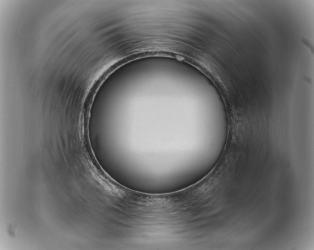 X0000102811076200808181218