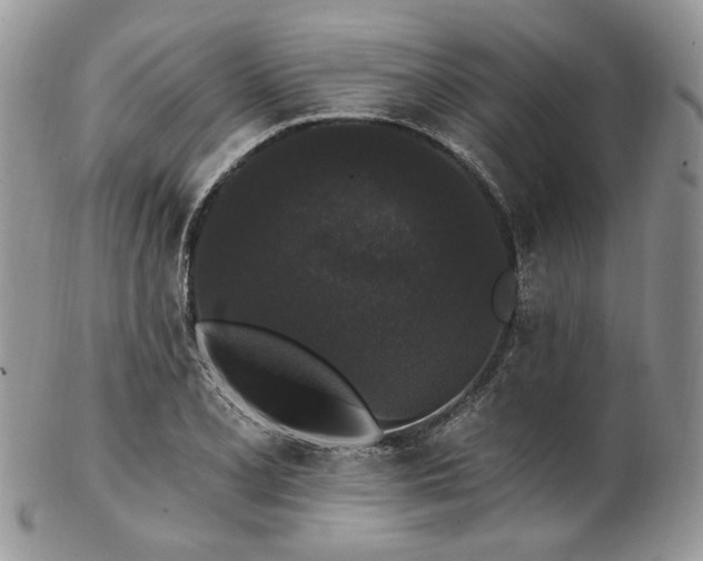 X0000102811077200808181218