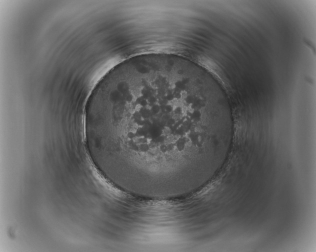 X0000102811079200808181218