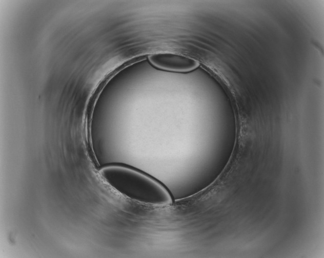 X0000102811080200808181218