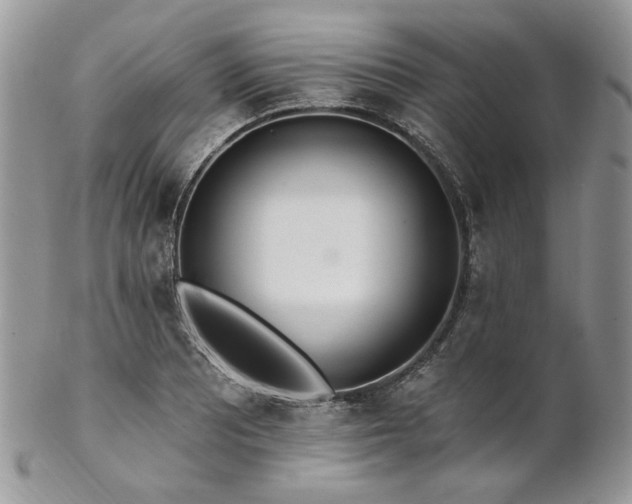 X0000102811081200808181218