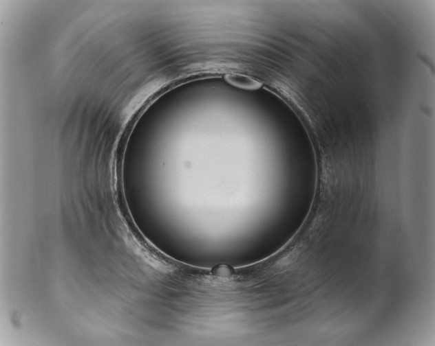 X0000102811082200808181218