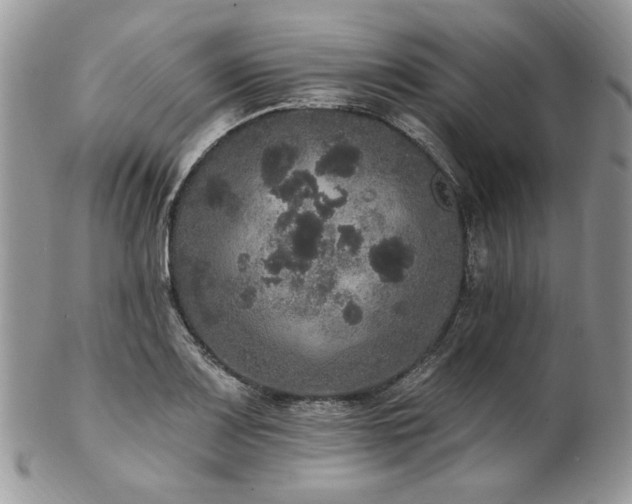 X0000102811083200808181218