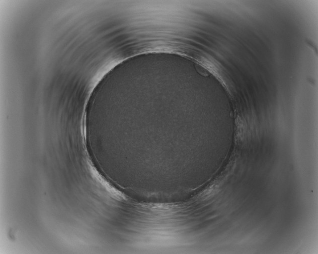 X0000102811084200808181218