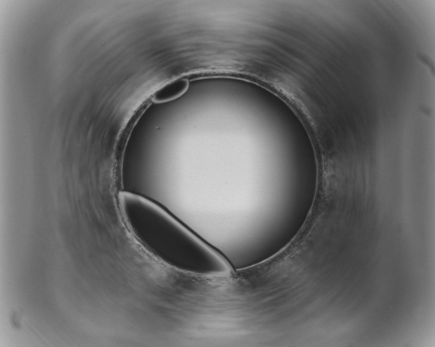 X0000102811085200808181218