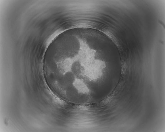 X0000102811086200808181218