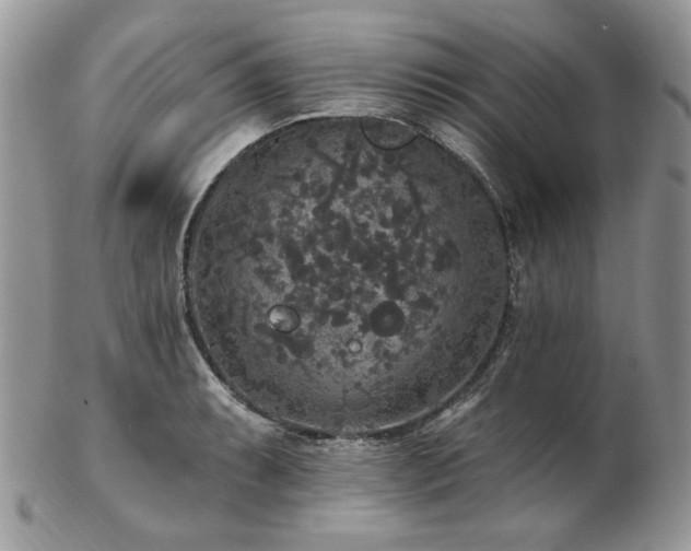 X0000102811087200808181218