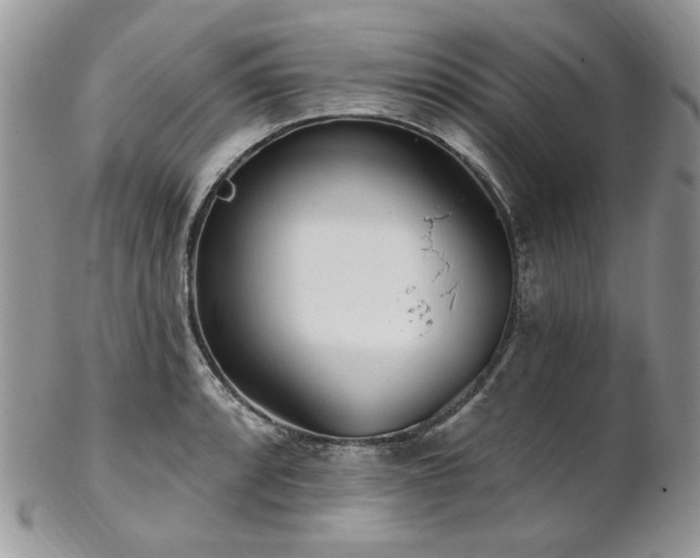 X0000102811088200808181218