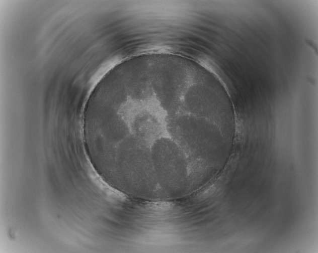 X0000102811090200808181218