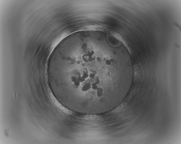 X0000102811091200808181218