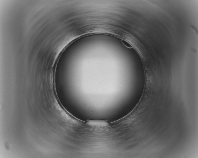 X0000102811092200808181218