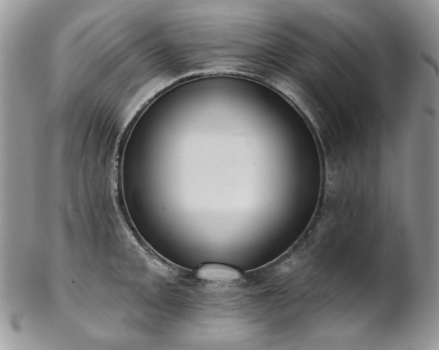 X0000102811093200808181218