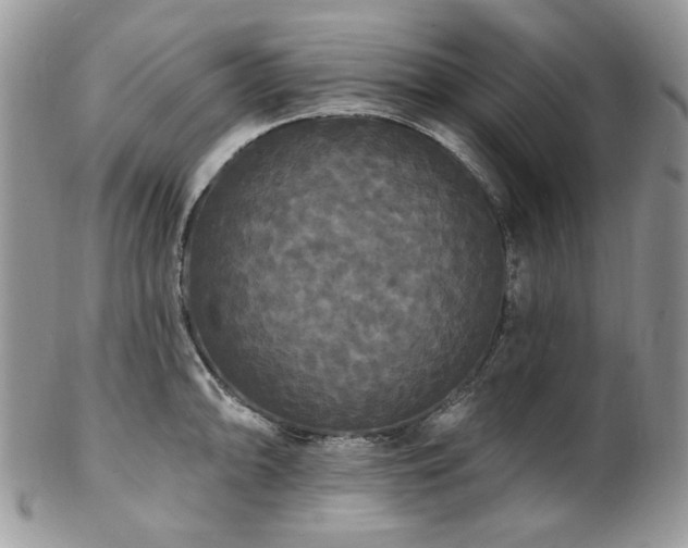 X0000102811094200808181218