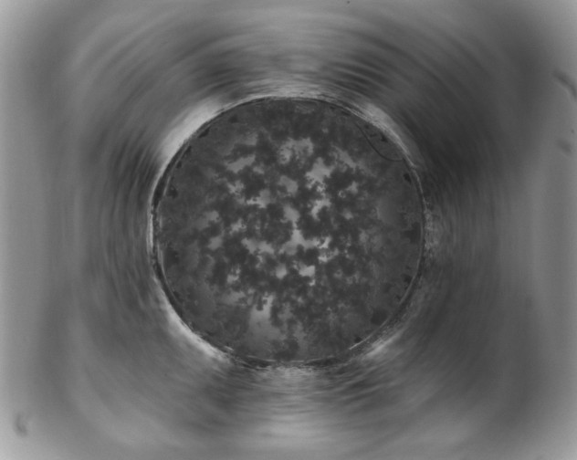 X0000102811095200808181218