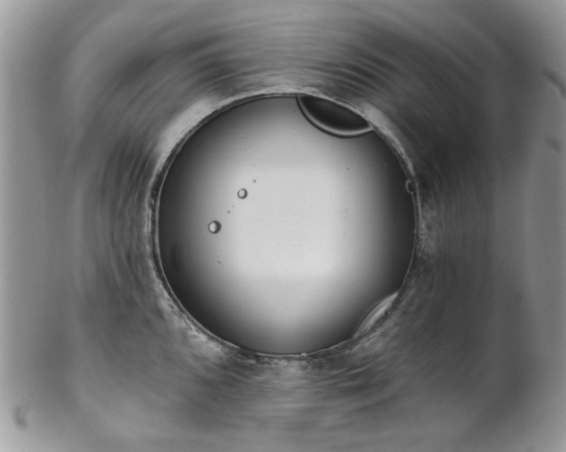 X0000102811096200808181218