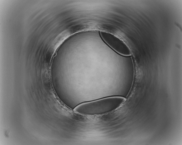 X0000102811097200808181218