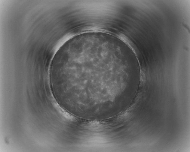 X0000102811098200808181218