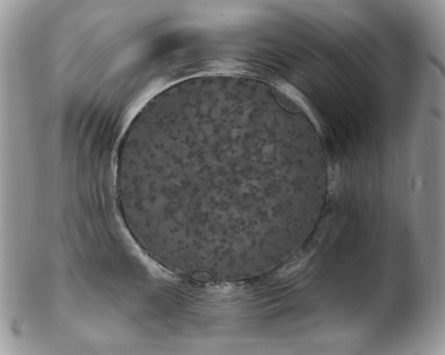 X0000102811099200808181218