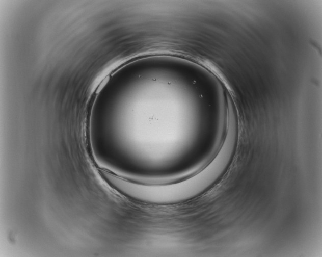 X0000102811101200808181218