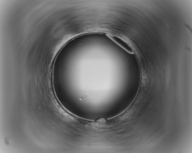 X0000102811102200808181218