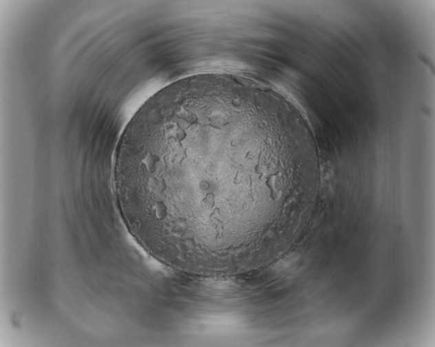 X0000102811103200808181218