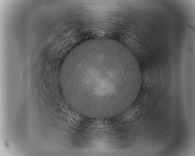 X0000102811105200808181217