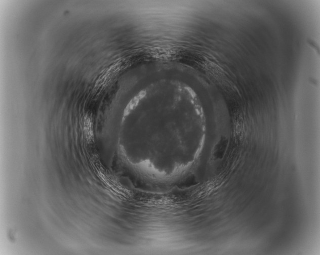 X0000102811106200808181217