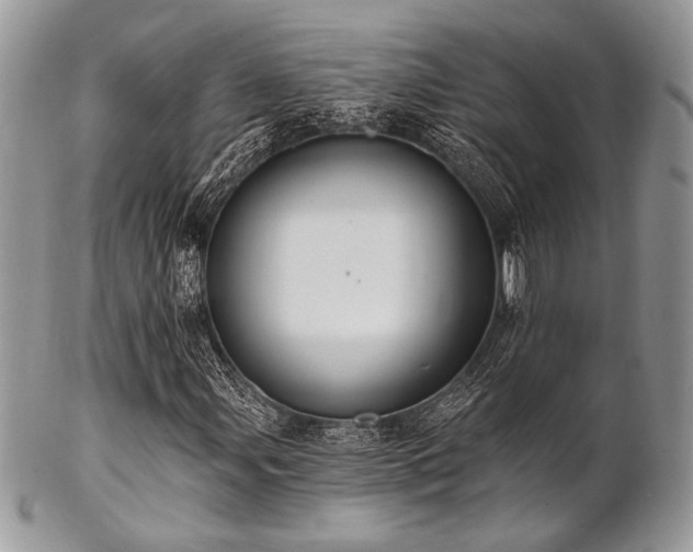 X0000102811107200808181217