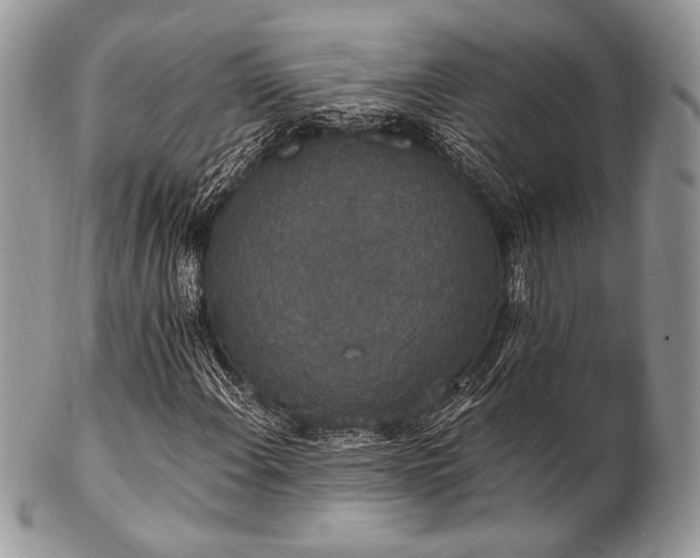 X0000102811108200808181217