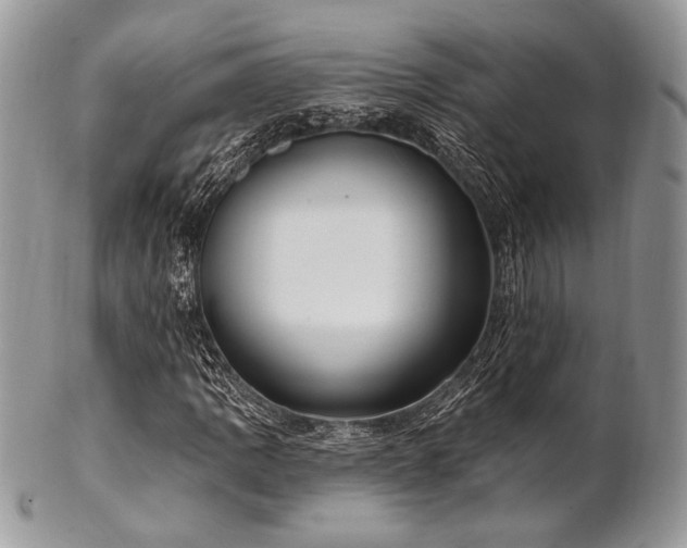 X0000102811109200808181217