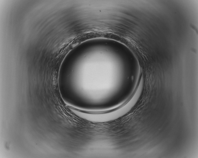 X0000102811110200808181217