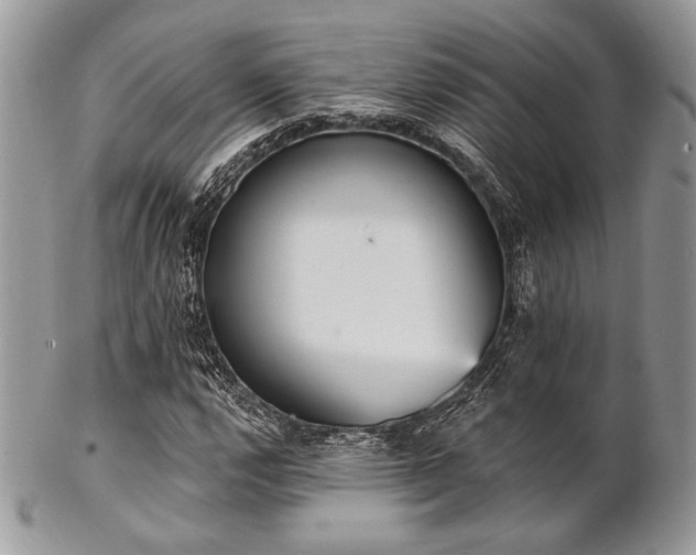 X0000102811112200808181217